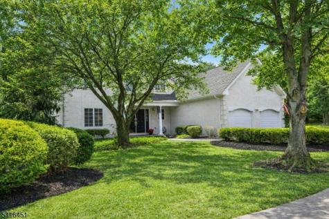 1 Vanderveer Drive Bernards NJ 07920