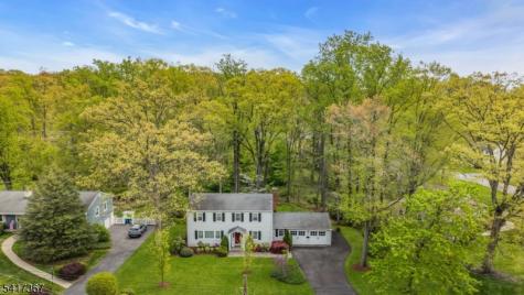 78 Ambar Place Bernardsville NJ 07924