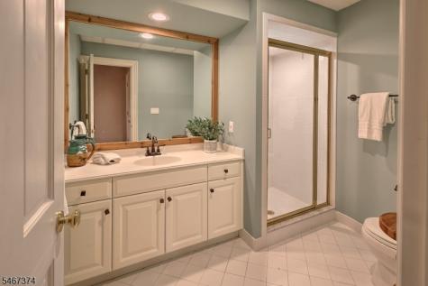 19 Heritage Court Bernardsville NJ 07924
