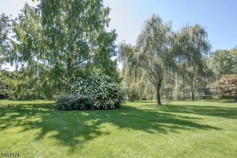 19 Heritage Court Bernardsville NJ 07924