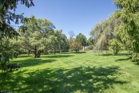 19 Heritage Court Bernardsville NJ 07924