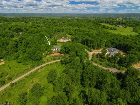 4 Preserve Lane Bernardsville NJ 07924