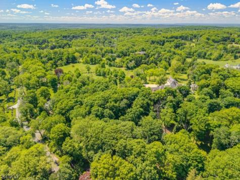 4 Preserve Lane Bernardsville NJ 07924