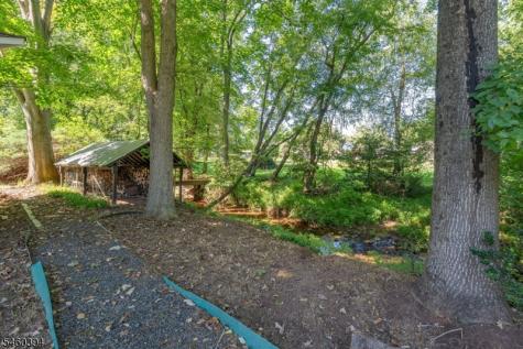 111 Carriage Hill Way Branchburg NJ 08853