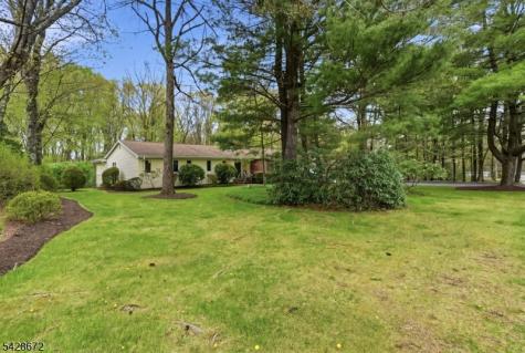 241 Hillside Avenue Roxbury NJ 07836