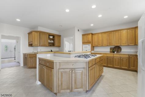 33 Scheurman Terrace Green Brook NJ 07059