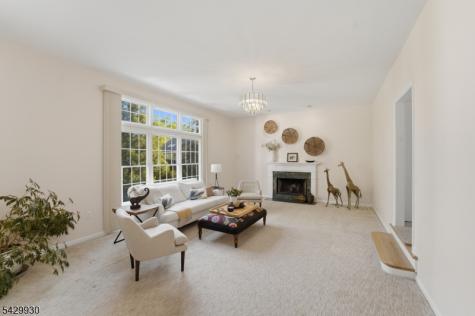 33 Scheurman Terrace Green Brook NJ 07059