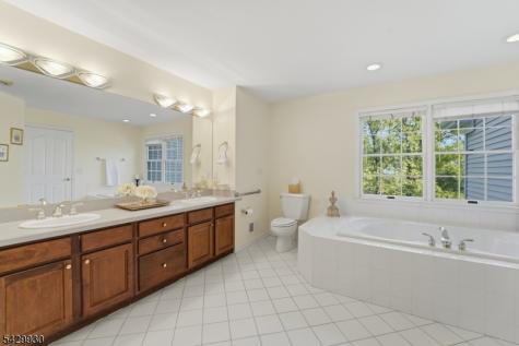 33 Scheurman Terrace Green Brook NJ 07059