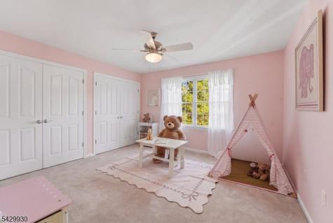 33 Scheurman Terrace Green Brook NJ 07059