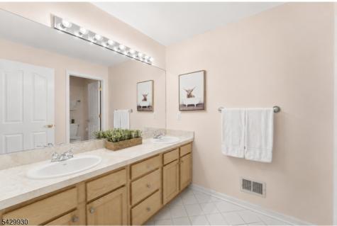 33 Scheurman Terrace Green Brook NJ 07059