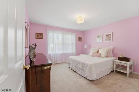 33 Scheurman Terrace Green Brook NJ 07059