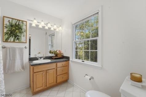 33 Scheurman Terrace Green Brook NJ 07059