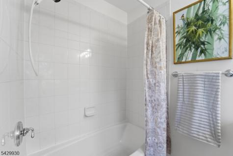 33 Scheurman Terrace Green Brook NJ 07059