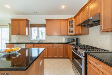 17 Nicole Lane Parsippany-troy Hills NJ 07054