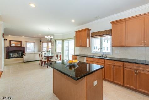 17 Nicole Lane Parsippany-troy Hills NJ 07054