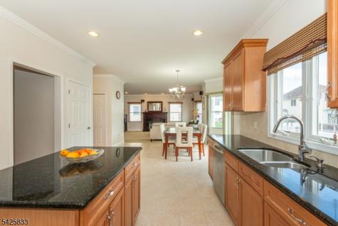 17 Nicole Lane Parsippany-troy Hills NJ 07054