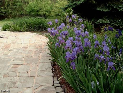 183 Anthony Road Lebanon NJ 08826