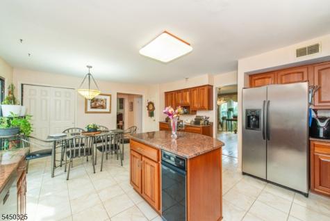 9 Puddingstone Way Florham Park NJ 07932