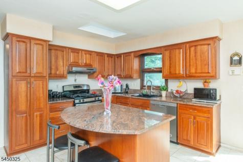 9 Puddingstone Way Florham Park NJ 07932