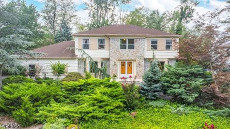 9 Puddingstone Way Florham Park NJ 07932