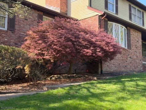 3 Matilda Terrace Montville NJ 07082