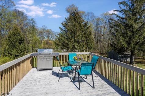12 Ramar Street Mount Olive NJ 07836