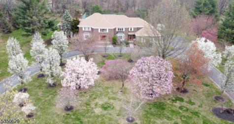 4 Ascot Lane Mendham NJ 07960
