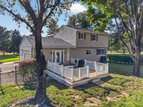 1 Mount Salem Road Alexandria NJ 08867