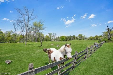 70 Pleasant Run Road Readington NJ 08822
