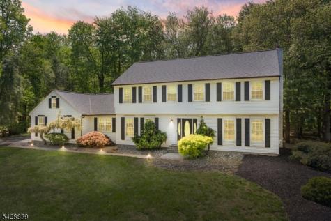 3 Kilmer Drive Hillsborough NJ 08844
