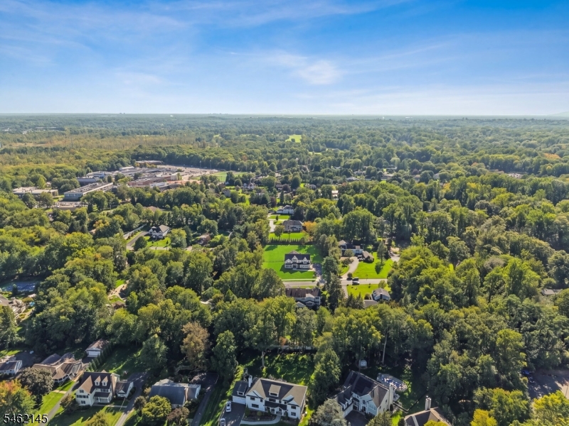 9 Blackbirch Road Scotch Plains NJ 07076