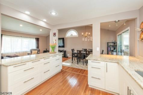14 Green Drive East Hanover NJ 07936