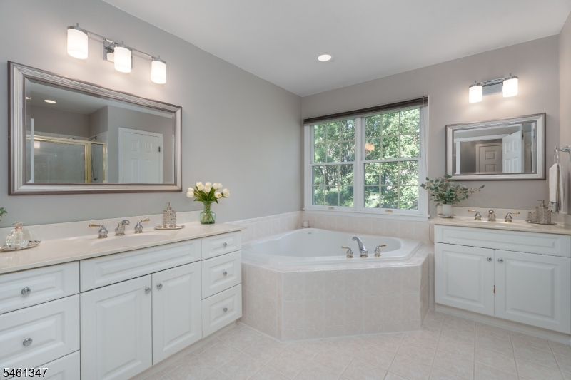 11 Tanglewood Court Montgomery NJ 08558
