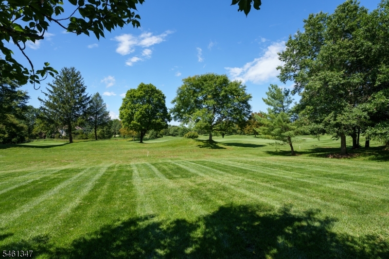 11 Tanglewood Court Montgomery NJ 08558