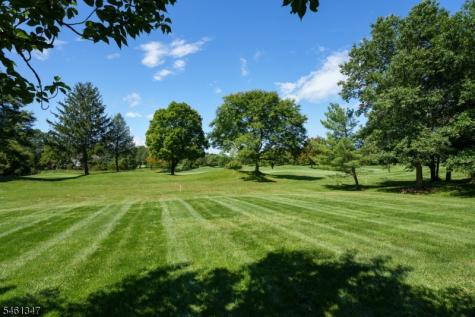 11 Tanglewood Court Montgomery NJ 08558