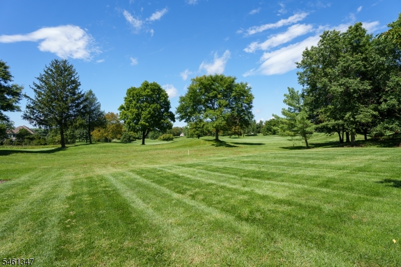 11 Tanglewood Court Montgomery NJ 08558