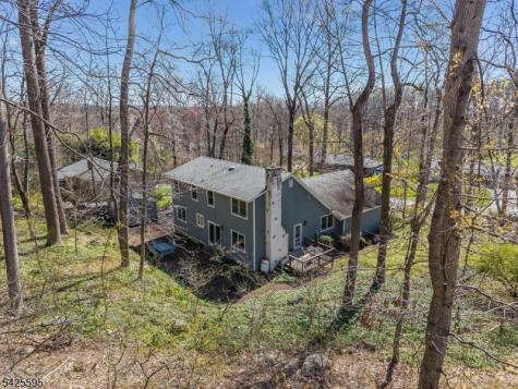 296 Andersen Road Holland NJ 08848