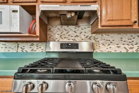 248 Appletree Lane Mountainside NJ 07092