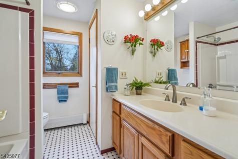4 Valley Place Chester NJ 07930