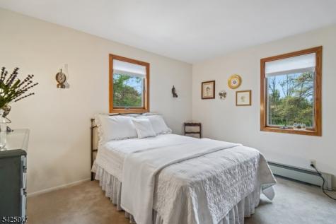 4 Valley Place Chester NJ 07930