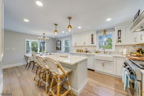 7 Meadow Road Chatham NJ 07928