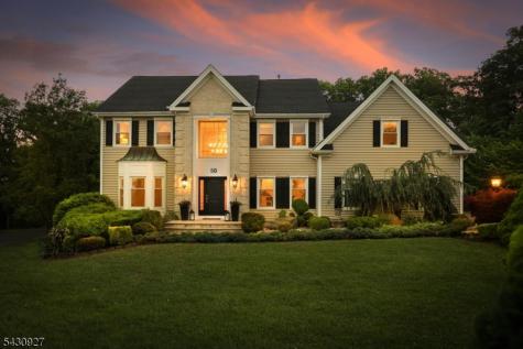 50 Scheurman Terrace Green Brook NJ 07059
