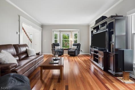 50 Scheurman Terrace Green Brook NJ 07059