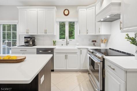 50 Scheurman Terrace Green Brook NJ 07059