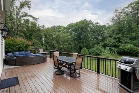 50 Scheurman Terrace Green Brook NJ 07059
