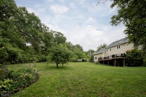 50 Scheurman Terrace Green Brook NJ 07059