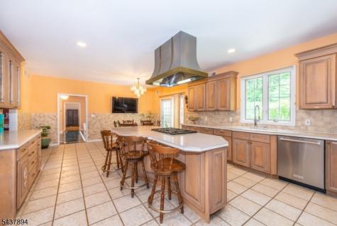 5 Raine Tree Court Kinnelon NJ 07405