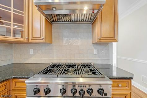 11 Dogwood Drive Readington NJ 08889