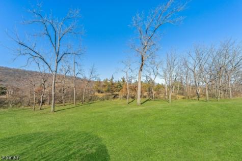 11 Dogwood Drive Readington NJ 08889