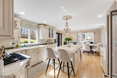 4 Michele Court Wayne NJ 07470